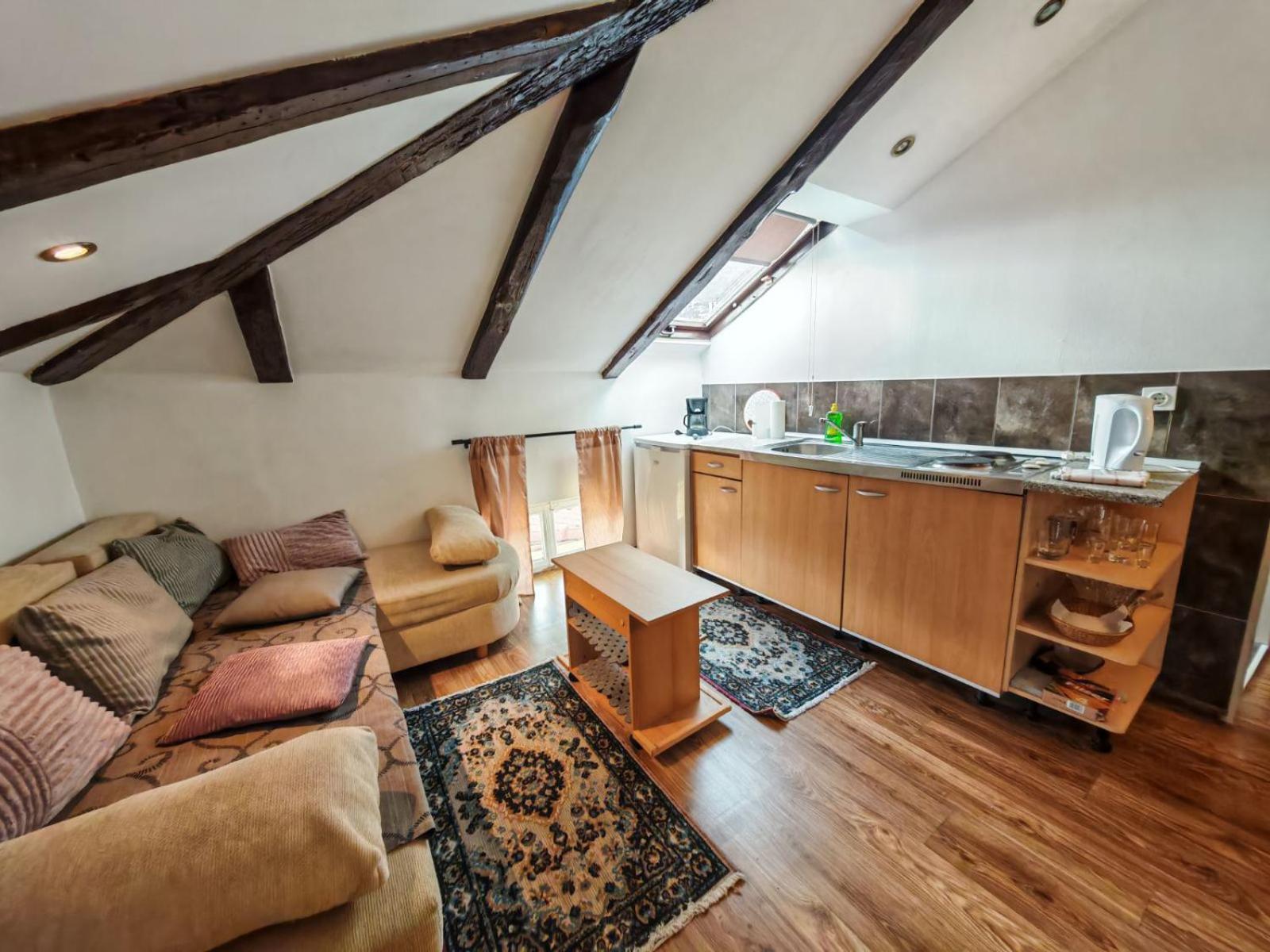 Apartment Damir Opatija Dış mekan fotoğraf